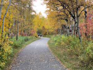 Strathcona Ravines Calgary Strathcona Ravine Park: Calgary Parks & Business Directory